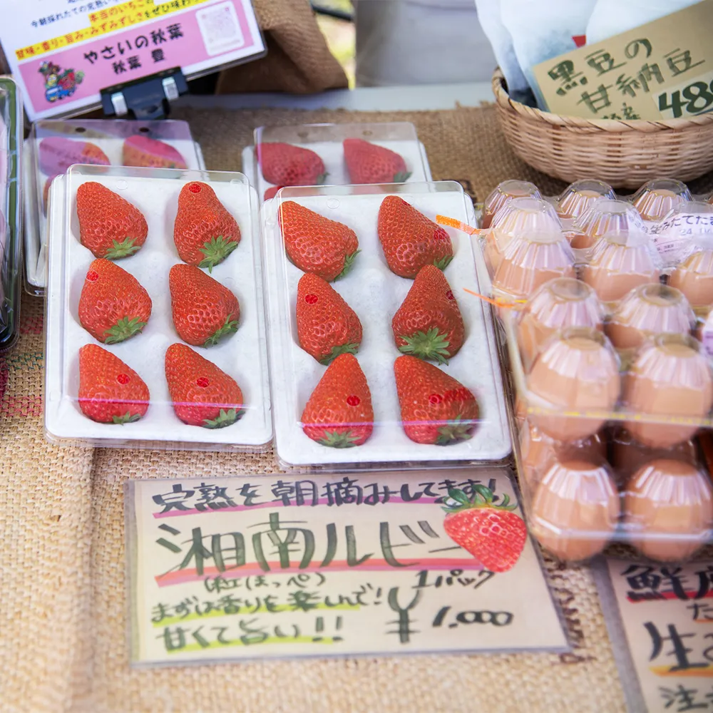 スライドショー画像18